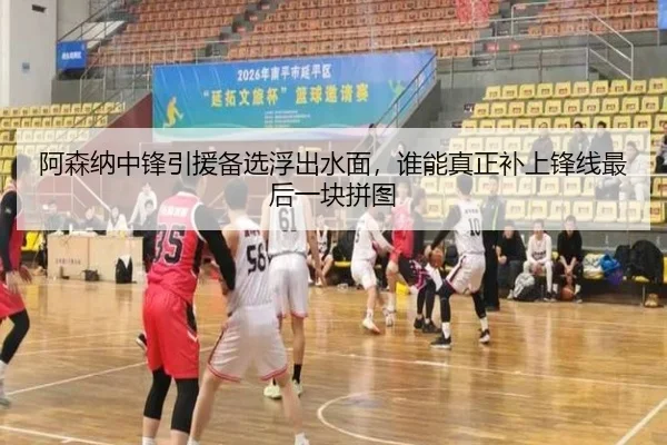 阿森纳中锋引援备选浮出水面，谁能真正补上锋线最后一块拼图（HTH）